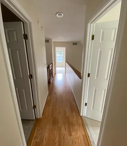3703 Lupine Dr — Photo 11