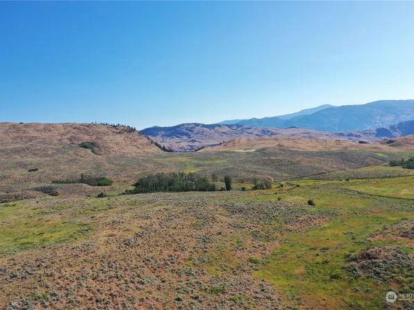 1112 TBD Ellemeham Mtn Rd, Oroville, WA 98844