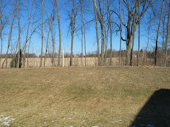 WALKOUT LOT BACKS TO TREELINE