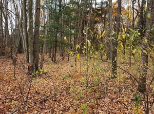 Vl S Payne Lake Rd LOT 1, Wayland, MI 49348