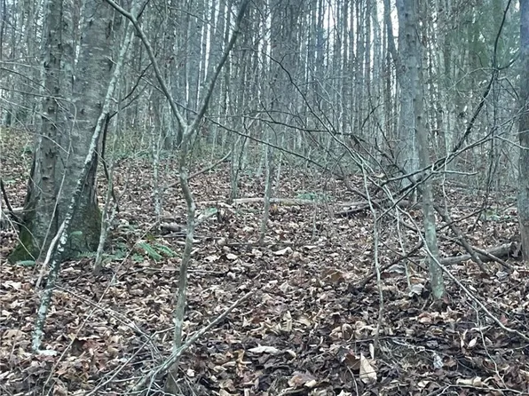 TBD Mountain Side Lane, Crumpler, NC 28617