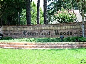 1st image of 1414 Covewood Dr