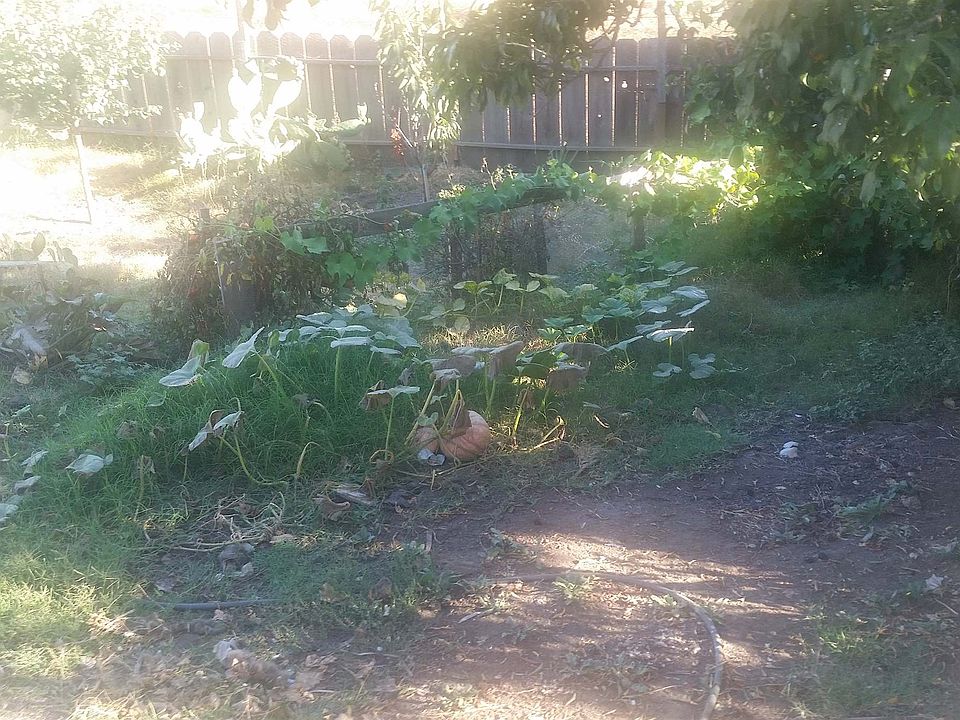 2nd image of 1028 1030 Parkway Rd