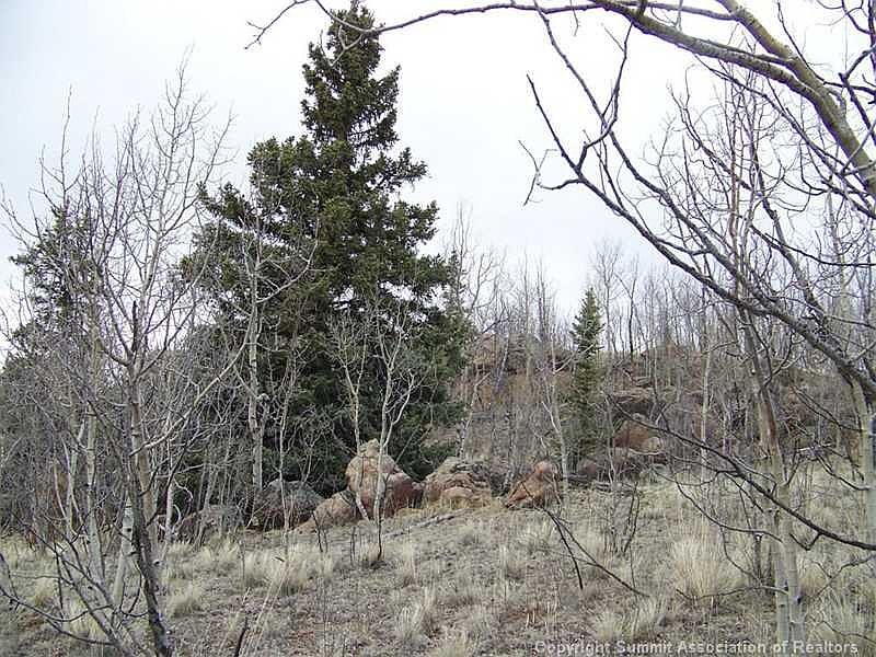 2nd image of 21 Pintail Way