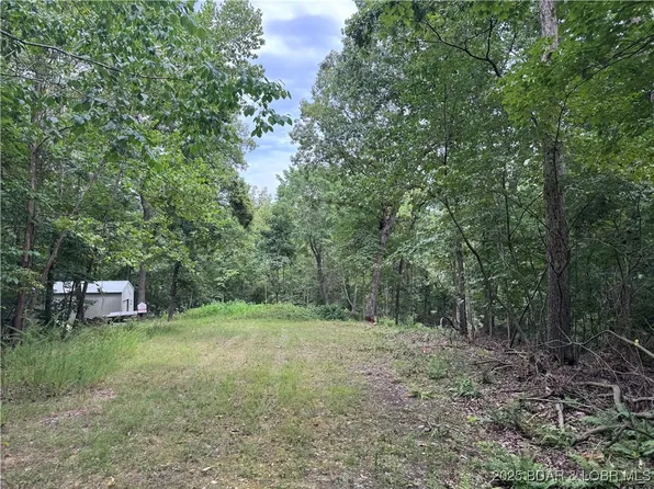 Lodge Dr, Edwards, MO 65326