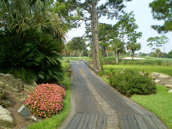 Golf Bridge