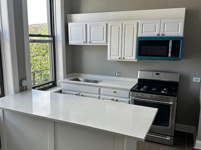 1901 S Racine Ave #3F — Photo 1