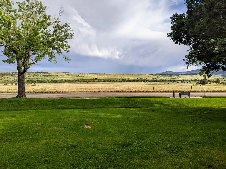 View from your backyard. SKIP bus stop on the right.