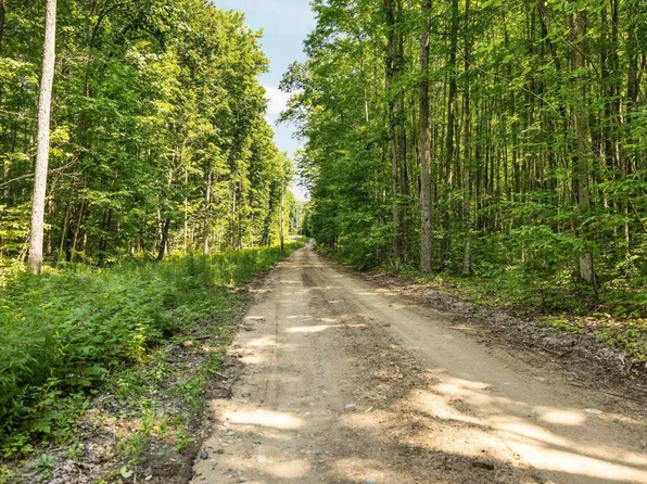 Parcels 4 & 6 Miller Rd, Mancelona, MI 49659