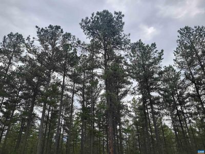 5 Piney Mountain Ln, Palmyra, VA, 22963