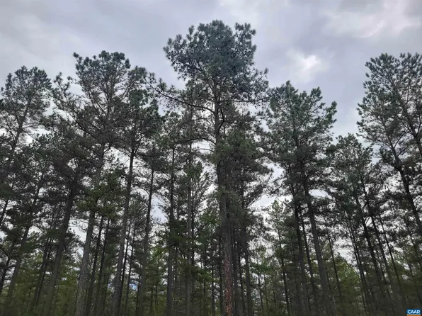 5 Piney Mountain Ln, Palmyra, VA 22963