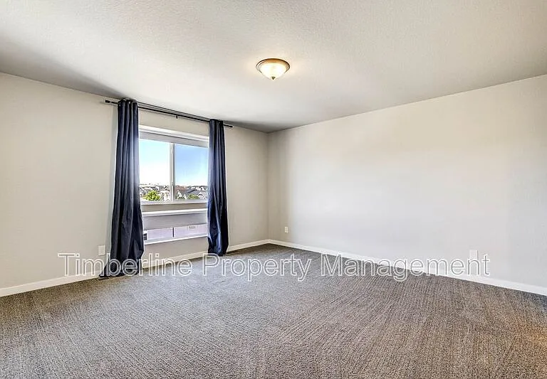 7359 Hunter Jumper Dr — Photo 35