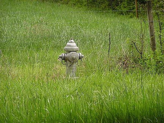4th image of 2435 Ga Hwy 124