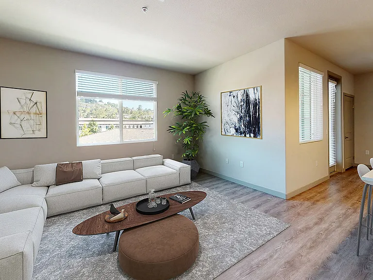 Large living rooms