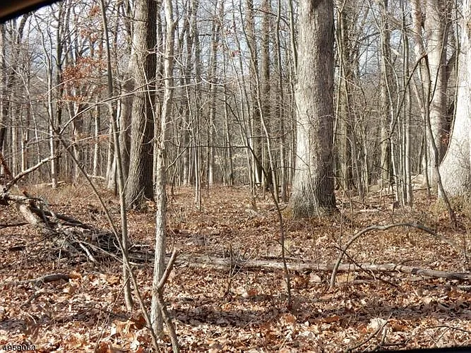 71 Featherbed Ln photo 1