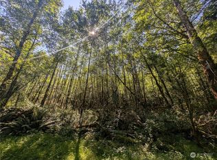 99993 Dowans Creek Road, Forks, WA 98331