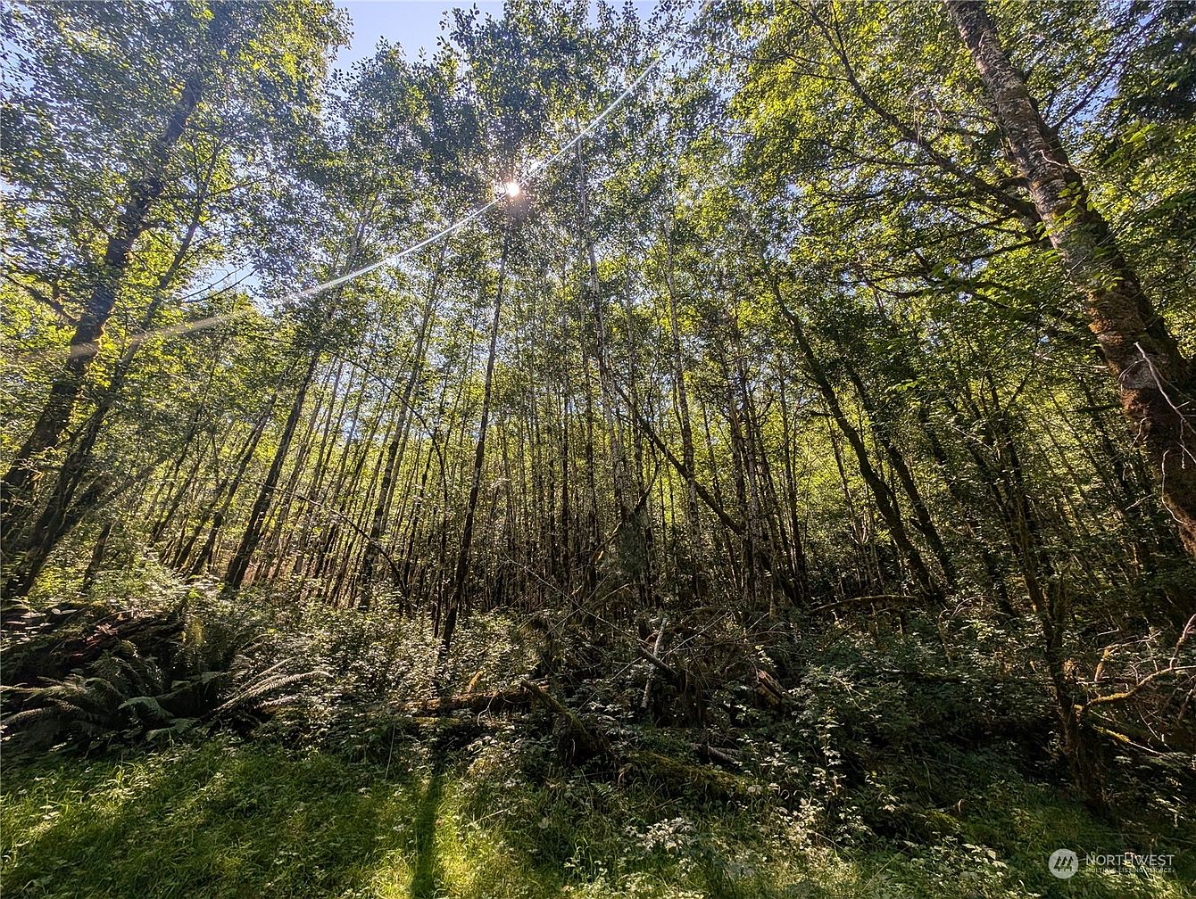 1st image of 99993 Dowans Creek Road