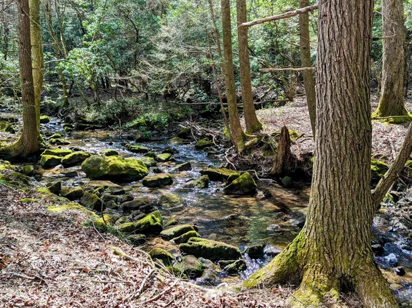 0 Wolf Haven Rd #9, Spencer, TN 38585