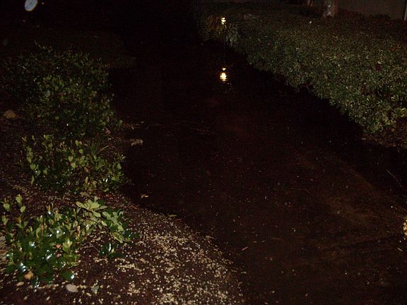 Flooded Sidewalk
