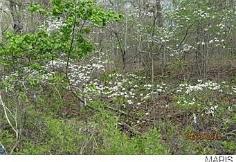 2nd image of 11574 Highway E
