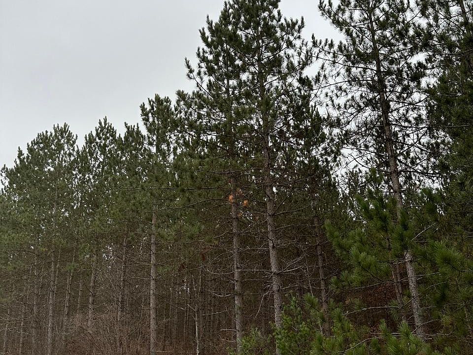 2nd image of Swamp Lake Rd #4069-14
