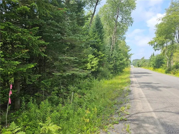 0 Pardeeville Rd #1, Cold Brook, NY 13324