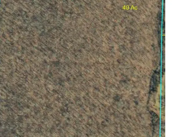 120 Arlie Barr Rd, Viburnum, MO 65566