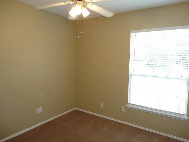 4870 Lodgepole Ln — Photo 15