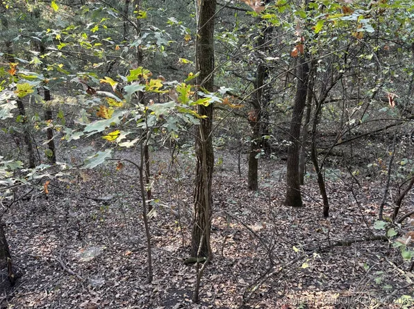 Chestnut Ln, Calera, OK 74730