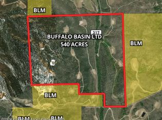 County Road 317, Rifle, CO 81650