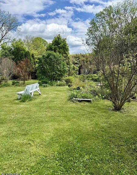 50 Mountain View Ave — Photo 28