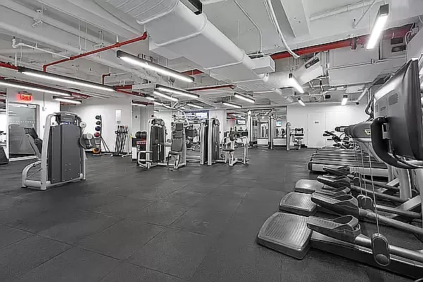 Rented by Platinum Properties | media 7