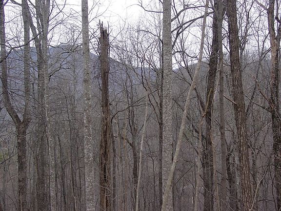 2nd image of 16 Roaring Rdg