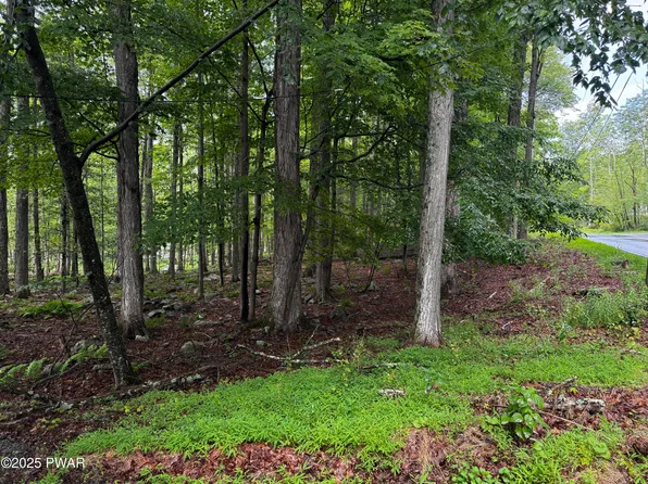 101 Elm Ln, Greentown, PA 18426