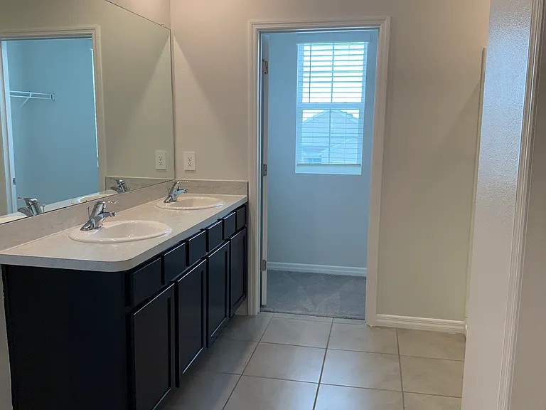 17343 Harvest Moon Way — Photo 10