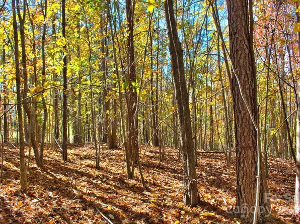 0 Creekside Cir #113, Rutherfordton, NC 28139