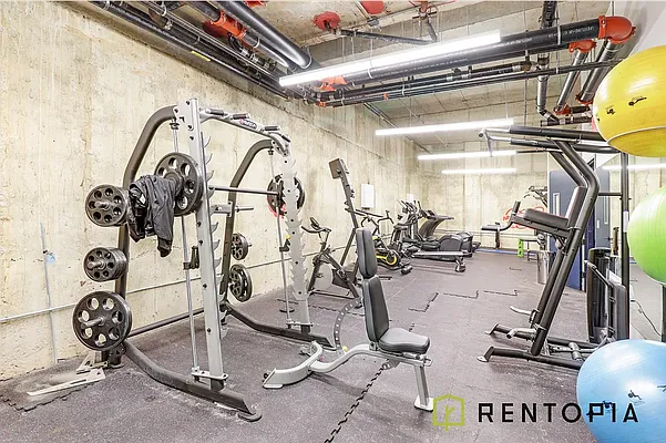 Rented by Rentopia | media 21