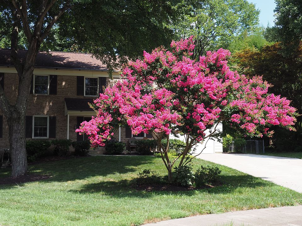1st image of 8517 Sugarbush Ct