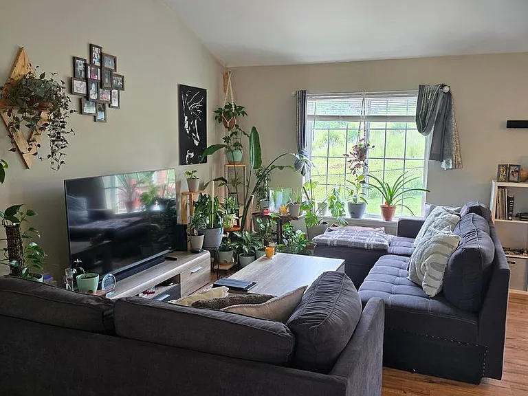 203 Ridgeview Dr — Photo 6