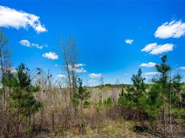 0 Jeff Davis Rd, Franklin, GA 30217