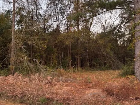 9680 Clash Ln, Lynchburg, SC 29080