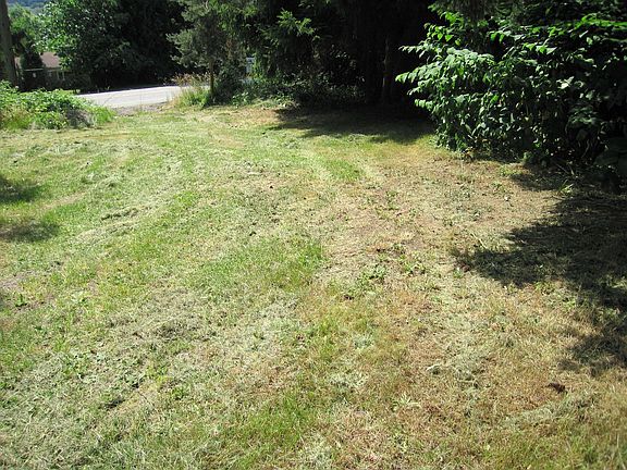 Northwest corner of property