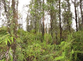 Hopue Rd #3, Mountain View, HI 96771