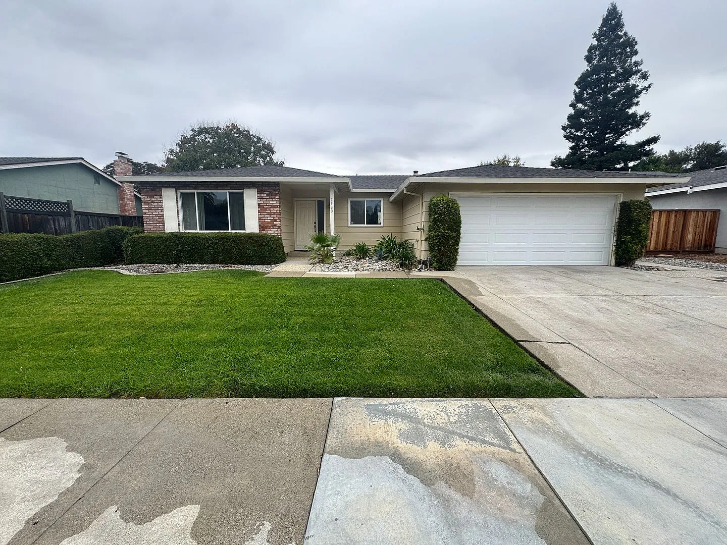 7460 Filice Dr photo 1