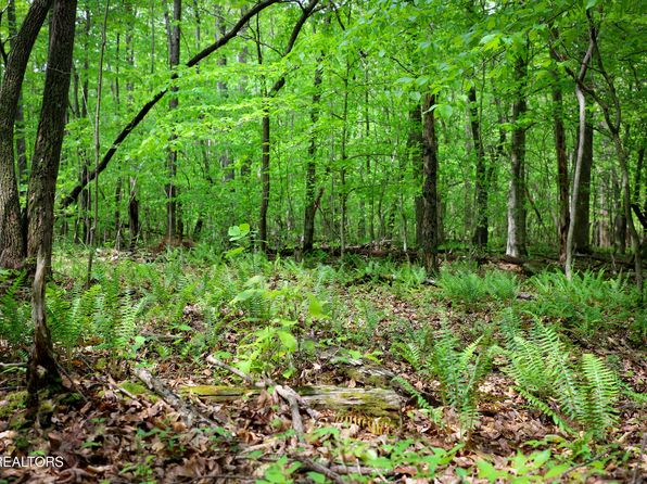 120 Eagle Ridge Rd, Kingston, TN 37763