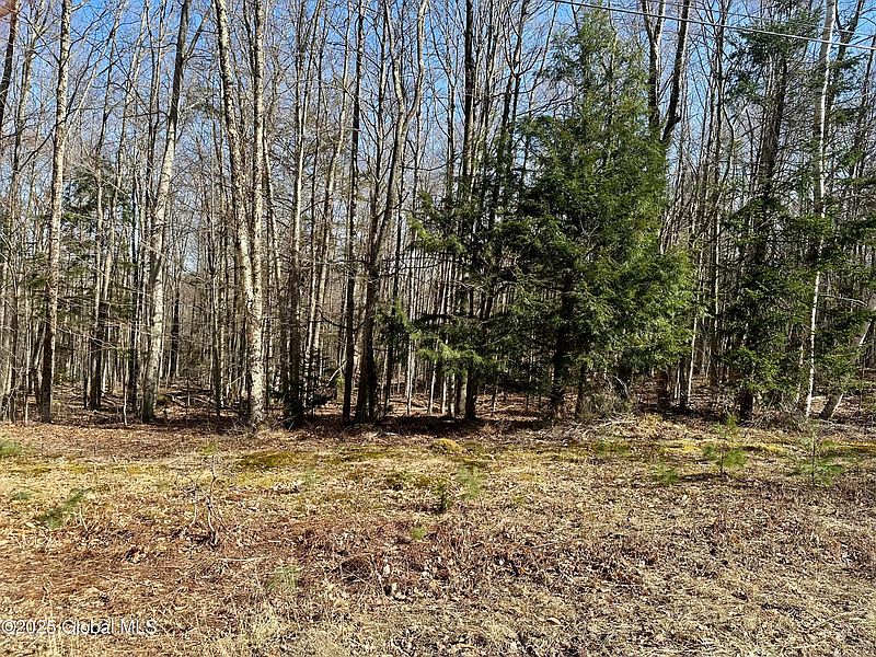 4th image of L-19 SW States Road