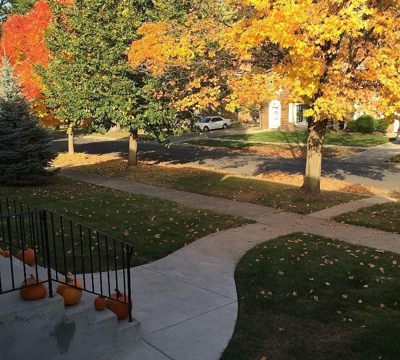 View from front door