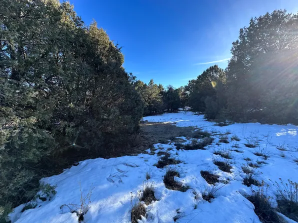 76 Buckboard Rd, Tijeras, NM 87059