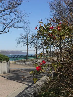 Sold by Willie Kathryn Suggs, LREB | media 15