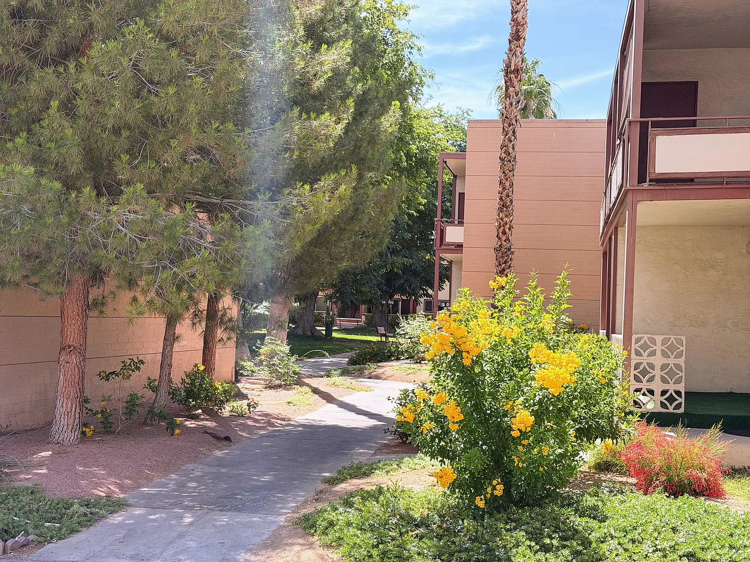 2 bed, 915 sqft, $1,500 — Photo 4